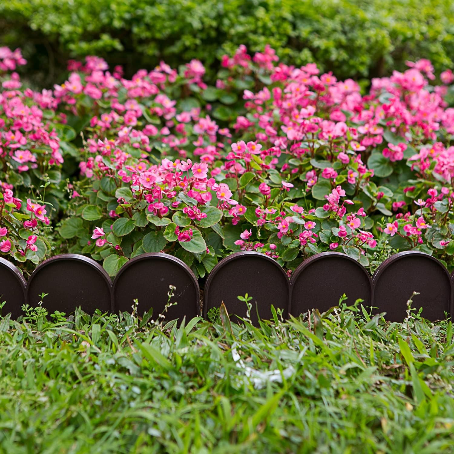 Brown half-round garden edging holding the line around pink flowering shrubs