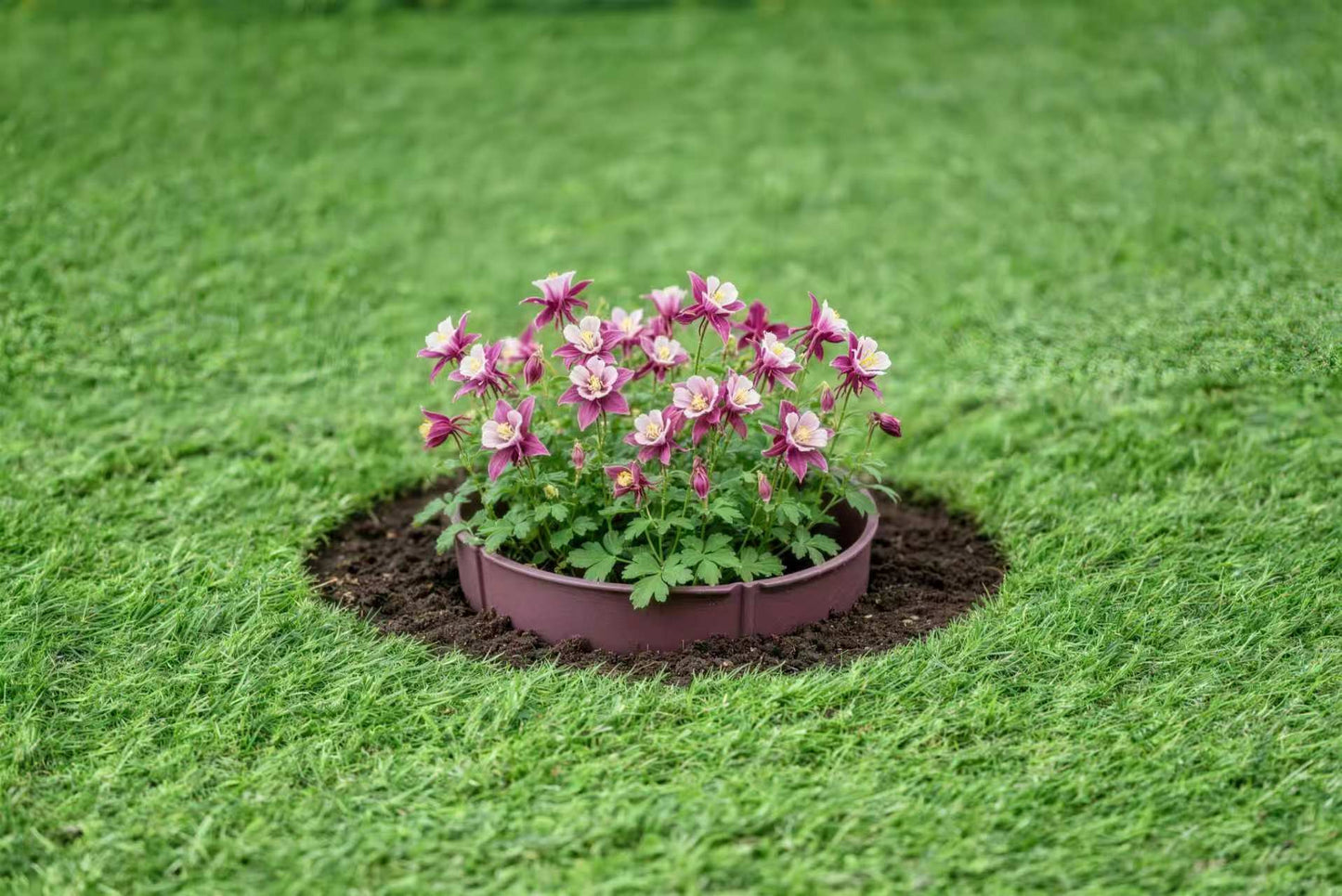 Adjustable Planting Grow Rings, Interlocking Garden Plant Rings, Spliceable Plant Circle Rings for Deep Watering, Soil Moisture Retention, Vegetables, Herbs, Flowers